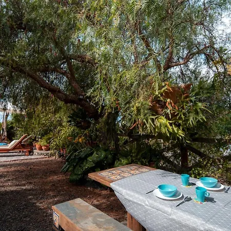 Alda Tatil Evi *